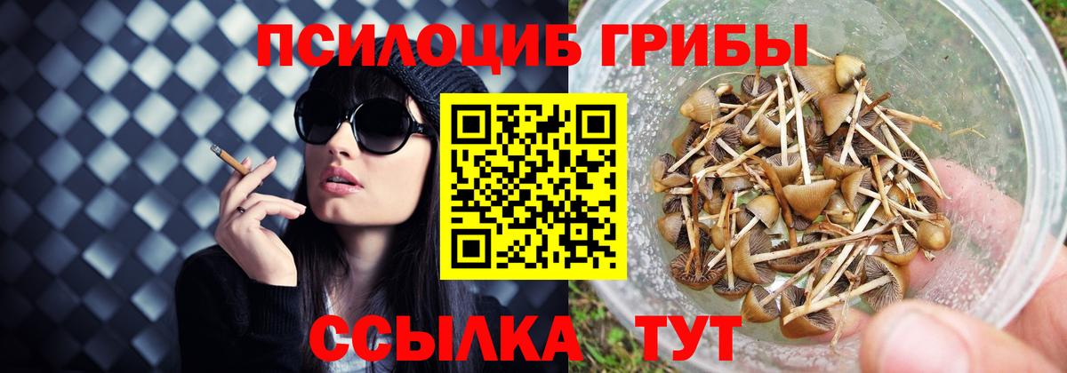 Псилоцибиновые грибы прущие грибы  Вход с VPN  Советская Гавань  Галлюциногенные грибы Magic Shrooms 
