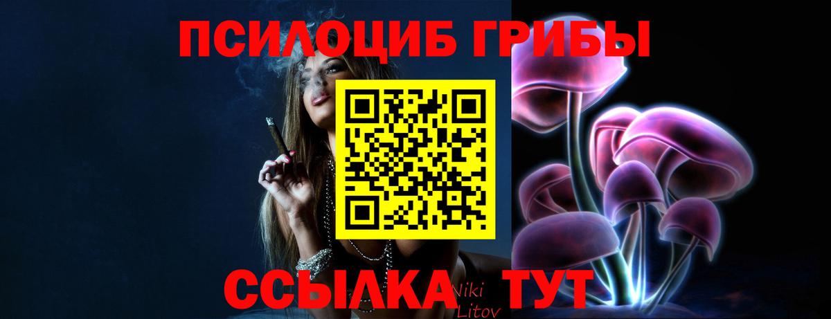 Галлюциногенные грибы ЛСД Советская Гавань